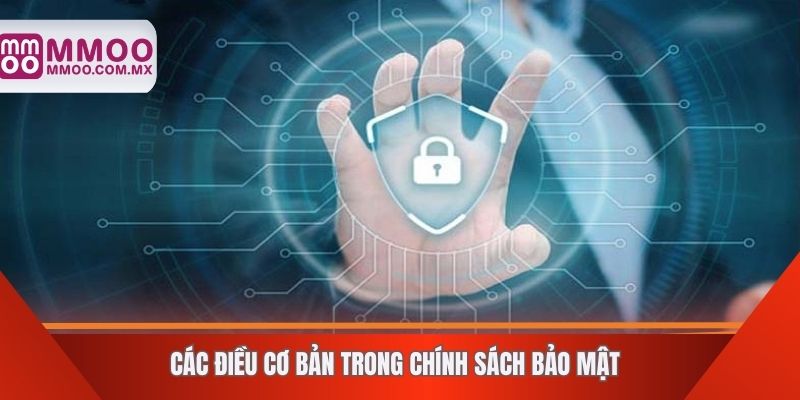 Các điều cơ bản trong chính sách bảo mật