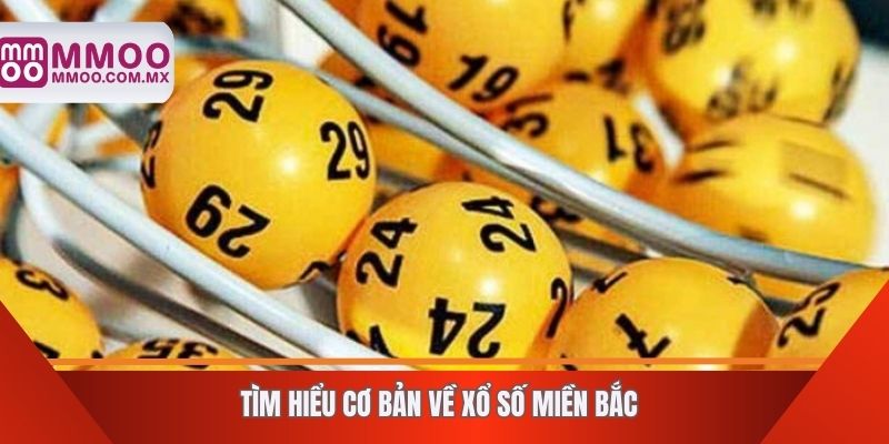 Tìm hiểu cơ bản về xổ số miền bắc
